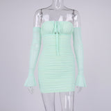 Bella Hadid Dress Mesh Flared Sleeves Pleated Dress