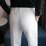 Men Trousers Dark Striped Casual Cropped Pants