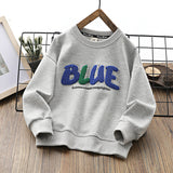 Children Hoodie Sweatshirts Boys' Autumn Casual Boy Autumn Top