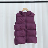 Women Winter Coats Puffer down Vest Winter Hooded down Vest Female Short Chic