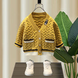 Toddler Boys Sweater Boys' Cardigan Sweater Spring and Autumn Knitwear Baby