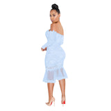 Autumn and Winter off-Shoulder Lace Fishtail Skirt Swing See-through Dress