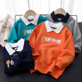 Children Hoodie Sweatshirts Brushed Hoody Autumn and Winter Girls