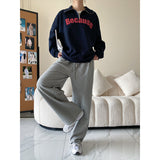 Diana Harvard Sweatshirt Retro Polo Collar Loose Letter Sweater