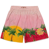 Eric Emanuel EE Shorts Sports Casual plus Size Shorts Men's Hip Hop West Coast Beach Pants