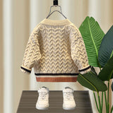 Toddler Boys Sweater Boys' Cardigan Sweater Spring and Autumn Knitwear Baby