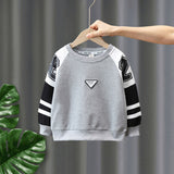 Toddler Boys Sweater Boy's Hoody Spring and Autumn