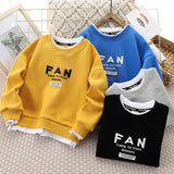 Children Hoodie Sweatshirts Boy's Hoody Autumn Embroidery