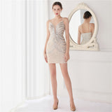 Sequin Evening Dress Sequin Short Party Gathering Dress