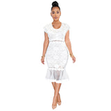 Sexy round Neck Lace Fishtail Skirt Swing See-through Dress