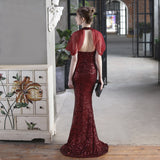 Sequin Evening Dress Fishtail Gown