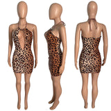 Sexy Mesh Stitching Leopard Print Tied Dress