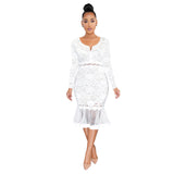 Small V-neck Long Sleeve Lace Fishtail Skirt Swing See-through Dress