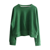 Diana Harvard Sweatshirt Short round Neck Bright Line Sweater