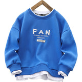Children Hoodie Sweatshirts Boy's Hoody Autumn Embroidery