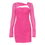 Bella Hadid Dress Mesh Hollow Pleated Long Sleeve Narrow Dress