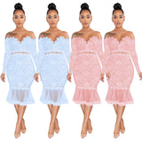 Autumn and Winter Lace Fishtail Skirt Swing See-through Dress
