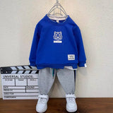 Toddler Boys Sweater Boys' Suit Spring and Autumn Two Pieces