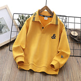 Children Hoodie Sweatshirts Autumn Men's Sweater Children