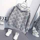 Toddler Boys Sweater Children's Clothing Boys' Spring and Autumn Clothing Hooded Sweater
