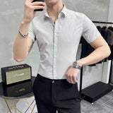 Men's Shirt Pinstripe Short Sleeve Shirt