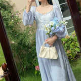 Fairy Dress French Romantic Elegant Blue Rose Jacquard Autumn Pearl over the Knee A- line Long Dress Temperament Female