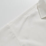Men T Shitrs Tiger Embroidery Pattern Lapel Polo Shirt