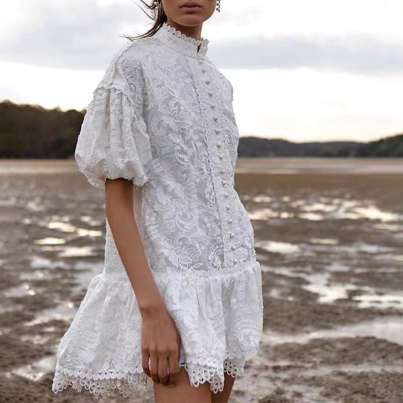 Fashion Stand Collar Puff Sleeve Single-Row Dress