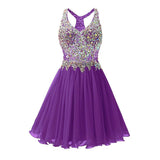 Formal Dresses & Gowns Homecoming Dresses Short Sequin Gauze Dress