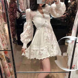 Women Dresses Spring/Summer Embroidered Flower Puff Sleeve V-neck Vacation Hollow-Out Lace Skirt