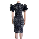 Mariah Carey See Through Dress Sequined Slim Dress