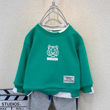 Toddler Boys Sweater Boys' Suit Spring and Autumn Two Pieces